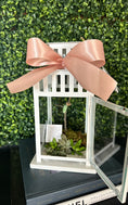 Load image into Gallery viewer, 12" lantern Succulent and Butterfly Chrysalis
