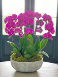 Load image into Gallery viewer, orchid