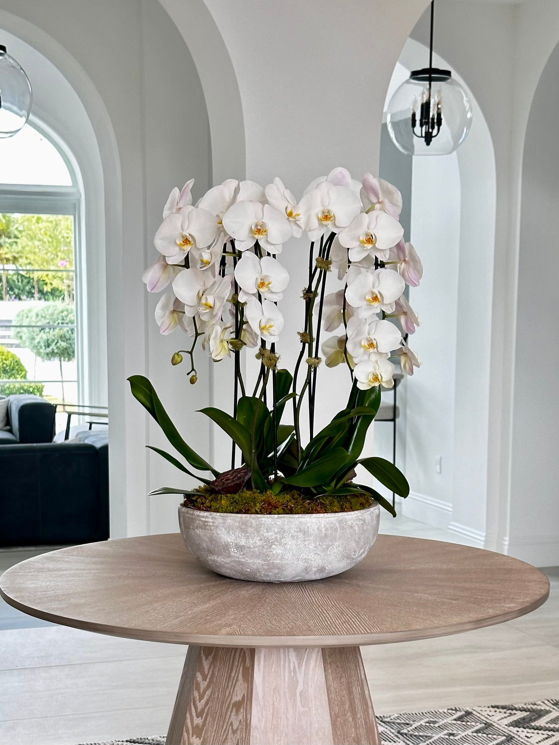 Orchid Elegance