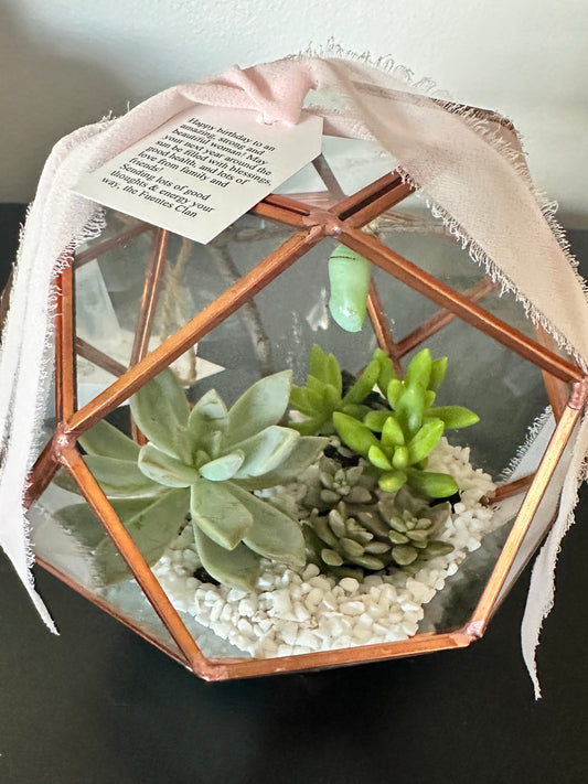 7" Succulent and Chrysalis Geometric Globe