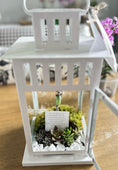 Load image into Gallery viewer, 12" lantern Succulent and Butterfly Chrysalis

