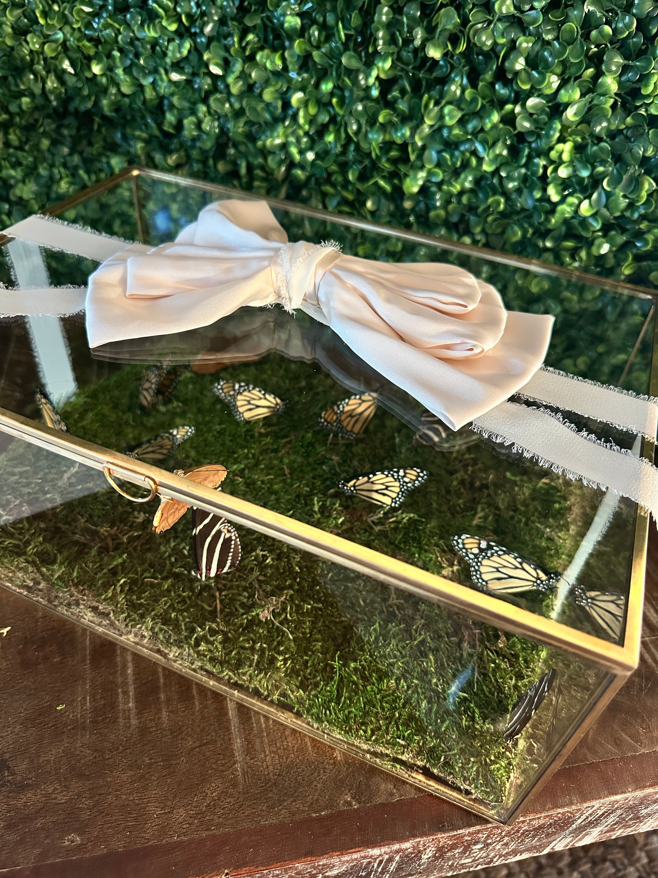 Butterfly Release Box
