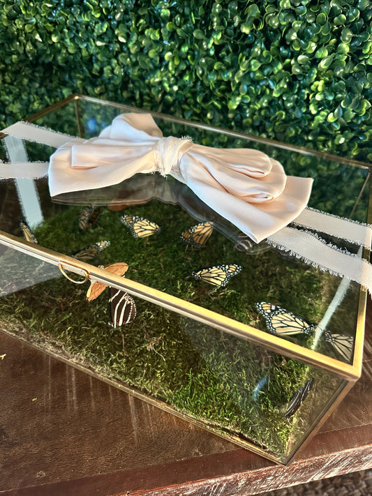 Butterfly Release Box