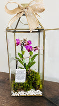 Load image into Gallery viewer, 16" Gold Lantern with Orchid and Butterfly Chrysalis
