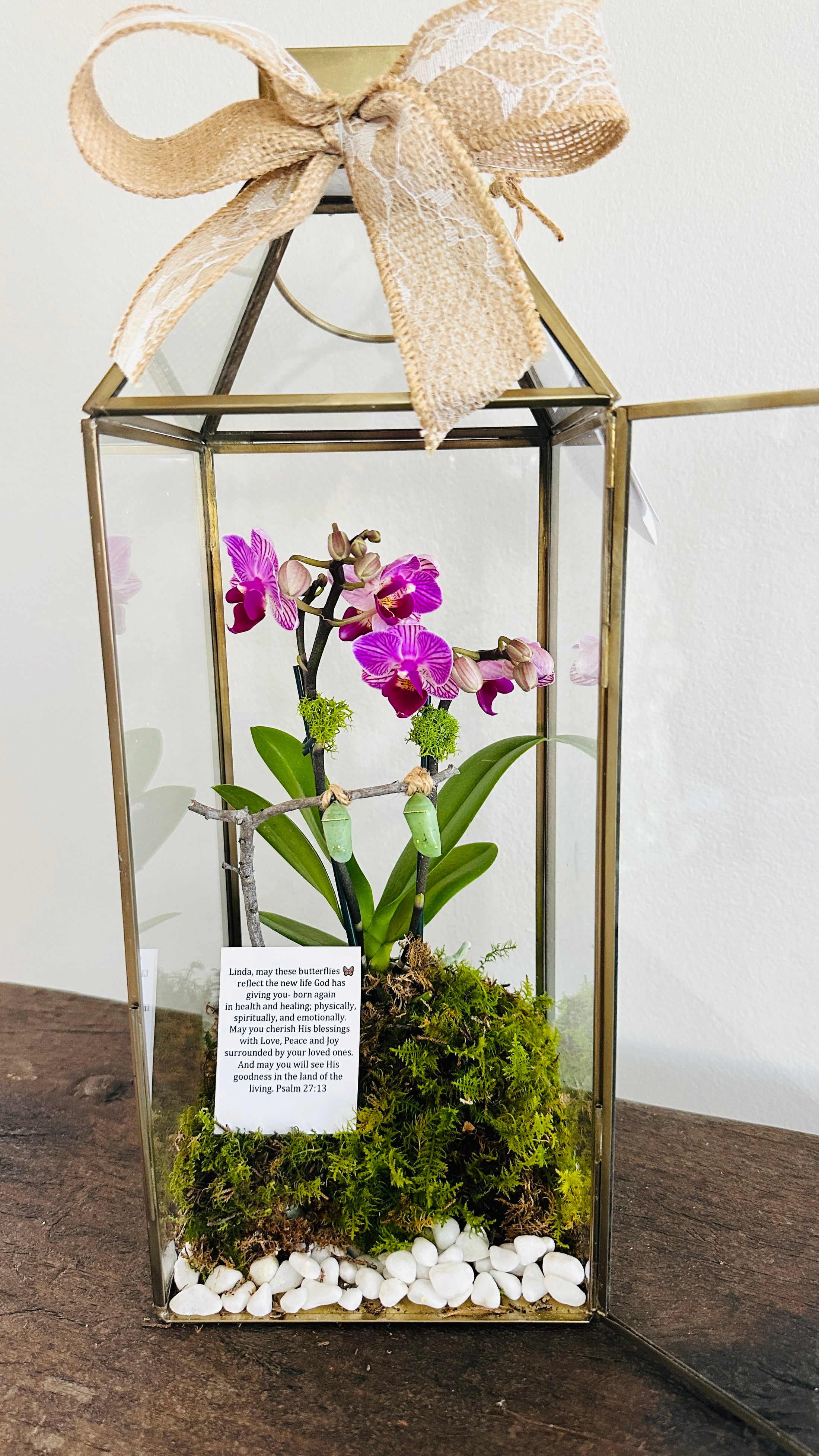 16" Gold Lantern with Orchid and Butterfly Chrysalis