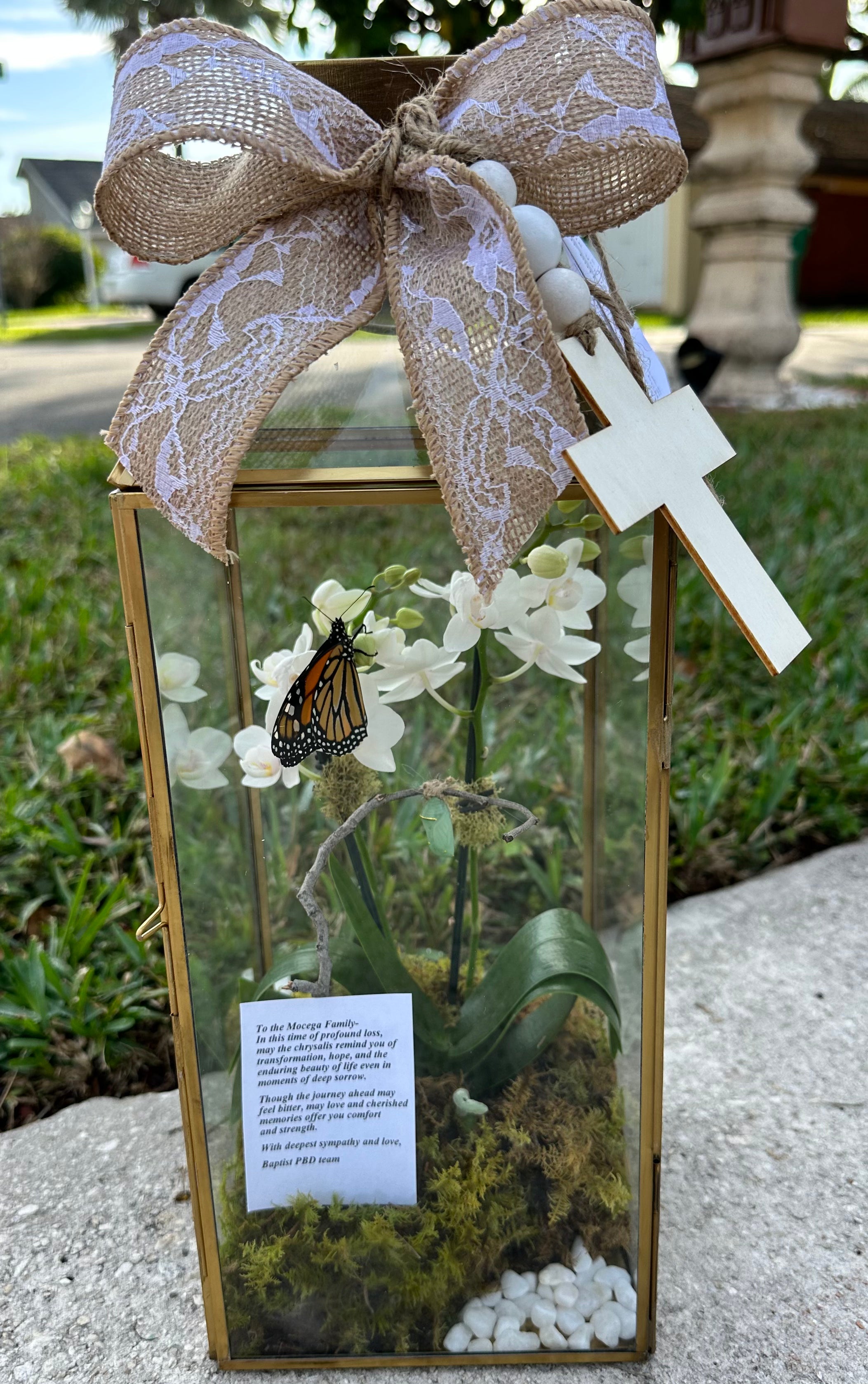 16" Gold Lantern with Orchid and Butterfly Chrysalis