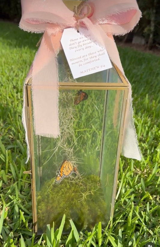Butterfly Release