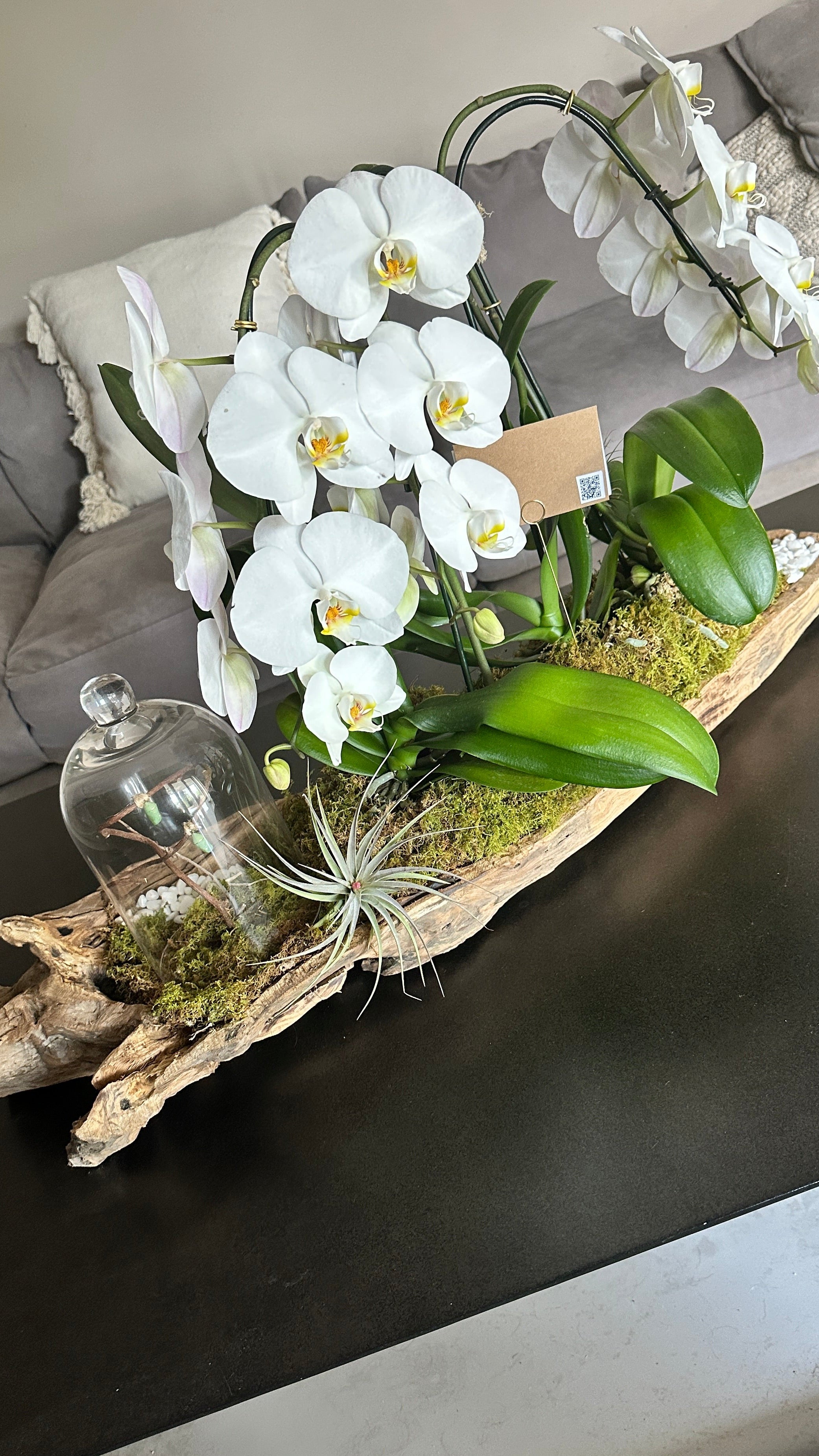 3 Foot Driftwood Nature Elegance