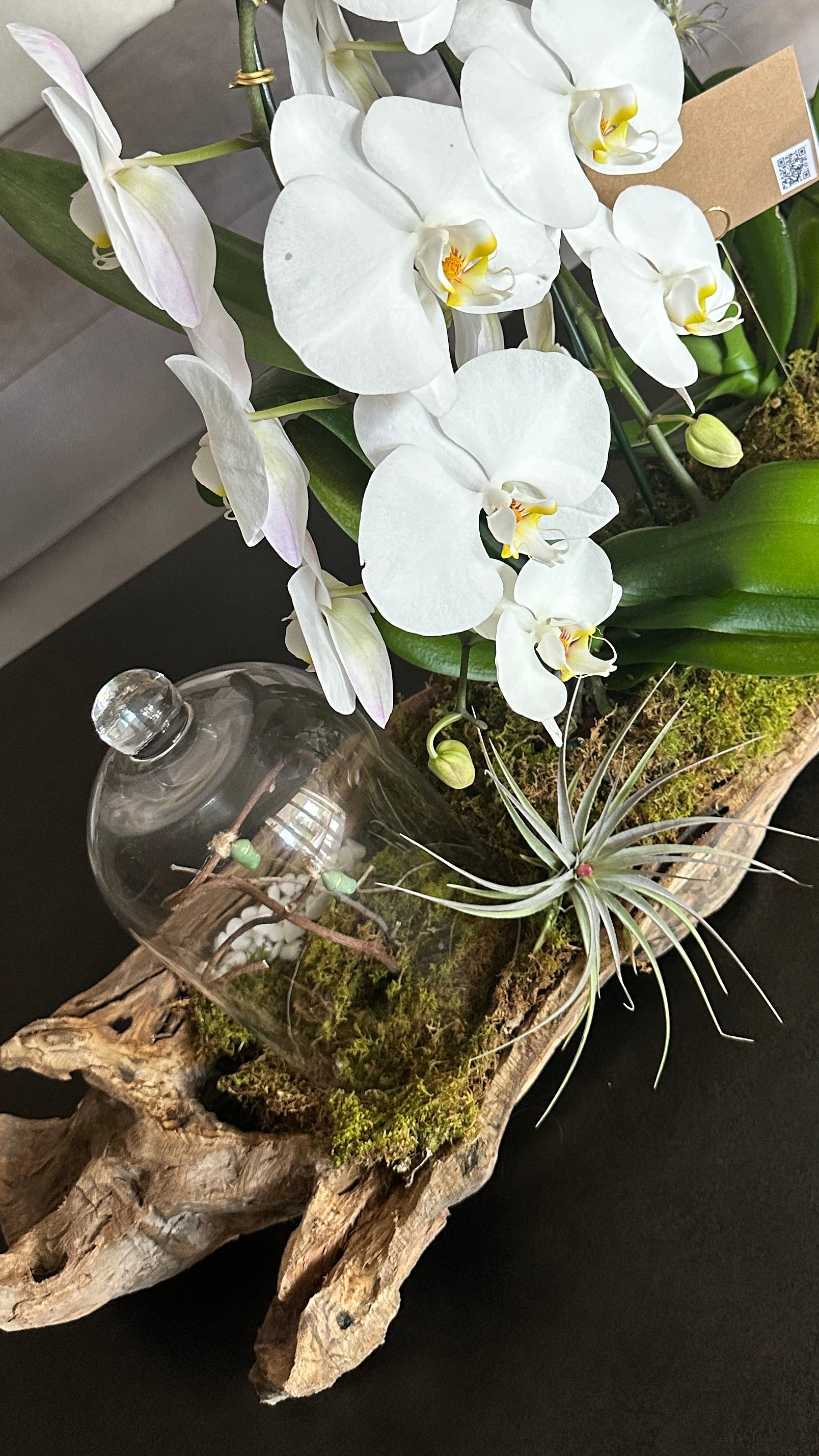 3 Foot Driftwood Nature Elegance