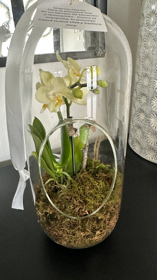 Glass Vessel