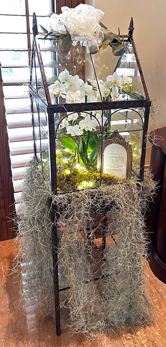4 Foot Live butterfly and Chrysalis Display
