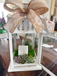 Load image into Gallery viewer, 12" lantern Succulent and Butterfly Chrysalis
