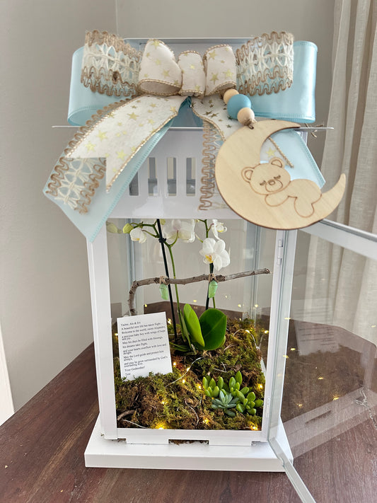 17" Orchid Chrysalis Lantern