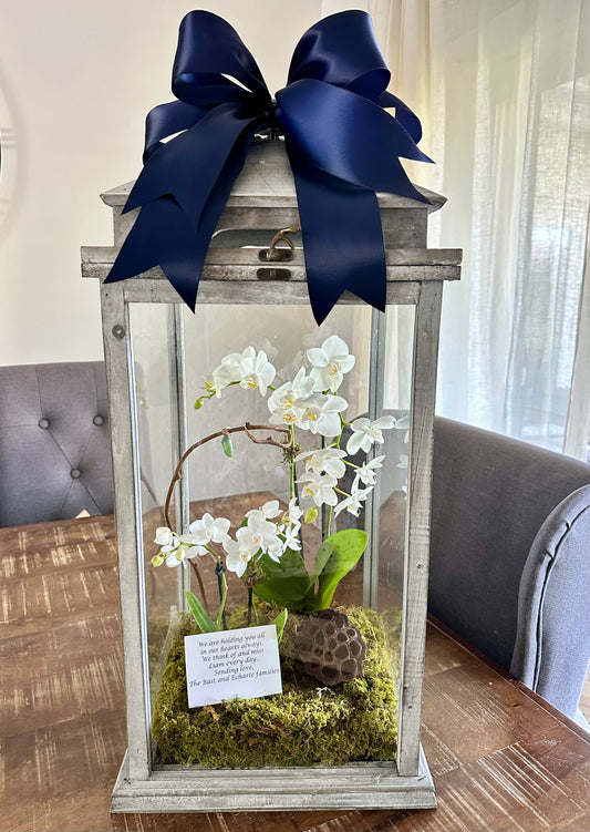 26 inch lantern display