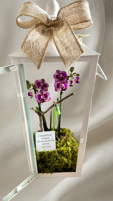 14' Butterfly Orchid Lantern